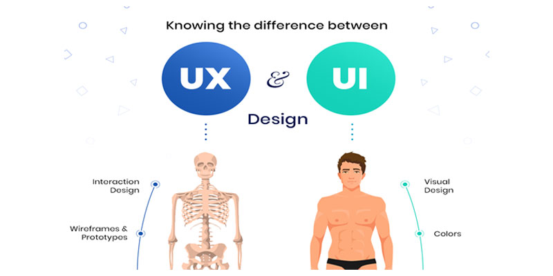UI و UX مانند بدن انسان است.