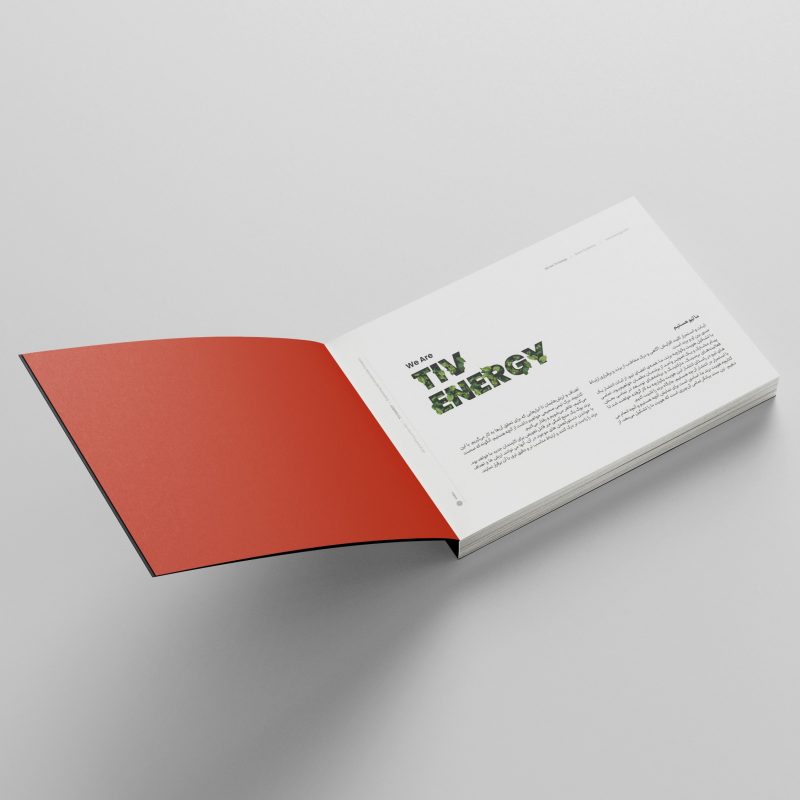 T2