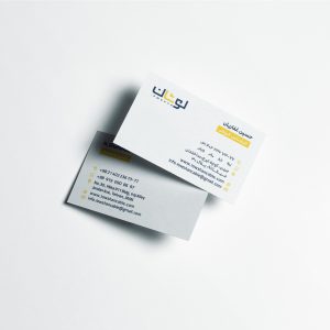 loshan3