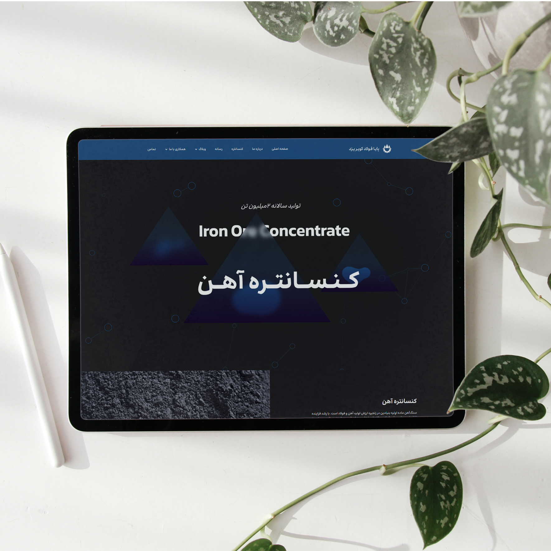 پایا فولاد (1)