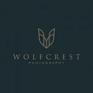 انتخاب استایل لوگو - لوگوی کلاسیک Wolfcrest - راهنمای جامع انتخاب و طراحی لوگو برای برند
