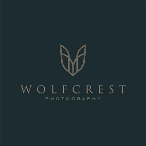 انتخاب استایل لوگو - لوگوی کلاسیک Wolfcrest - راهنمای جامع انتخاب و طراحی لوگو برای برند